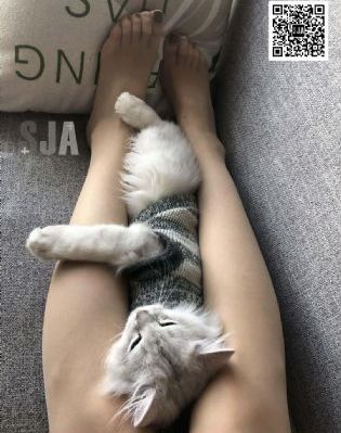 奇米影视8888狠狠狠狠_1080P全集在线观看