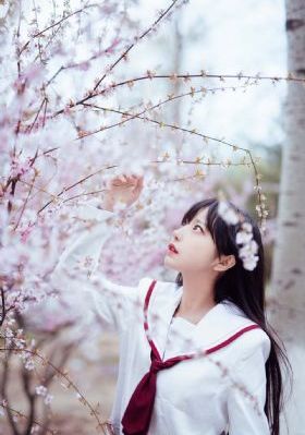 日本高清亚洲高清欧美高清_高清高清视频观看